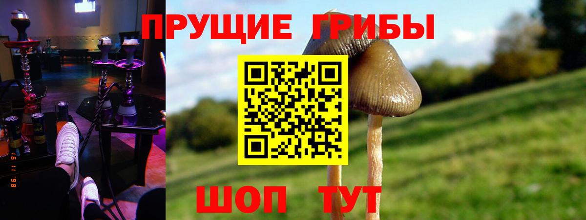 Галлюциногенные грибы MAGIC MUSHROOMS Рассказово